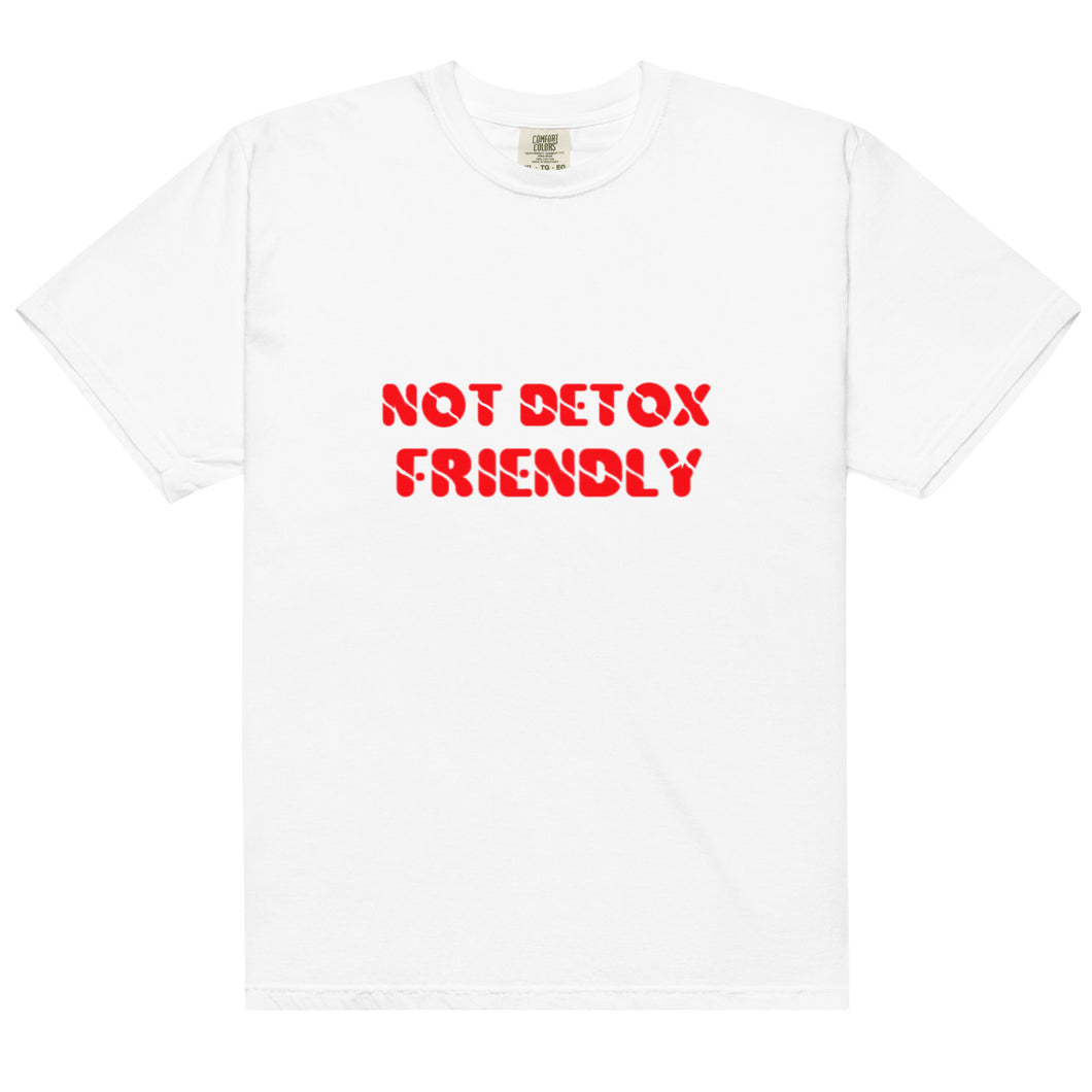 NOT DETOX FRIENDLY garment-dyed heavyweight t-shirt